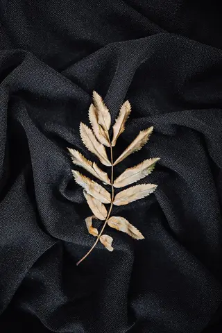 Imprimé tropical — feuilles d’or