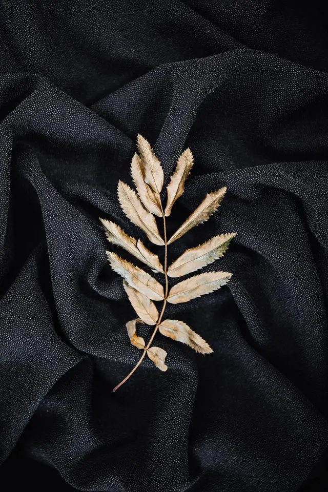 Imprimé tropical — feuilles d’or in Bamako – Touré Textiles
