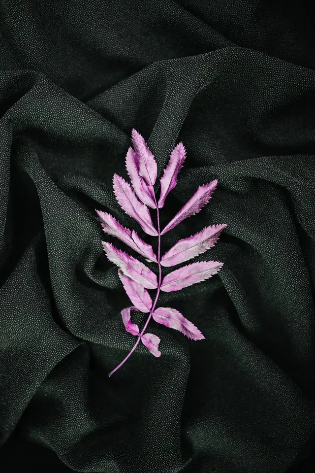 Imprimé tropical — feuilles d’or, photo 2