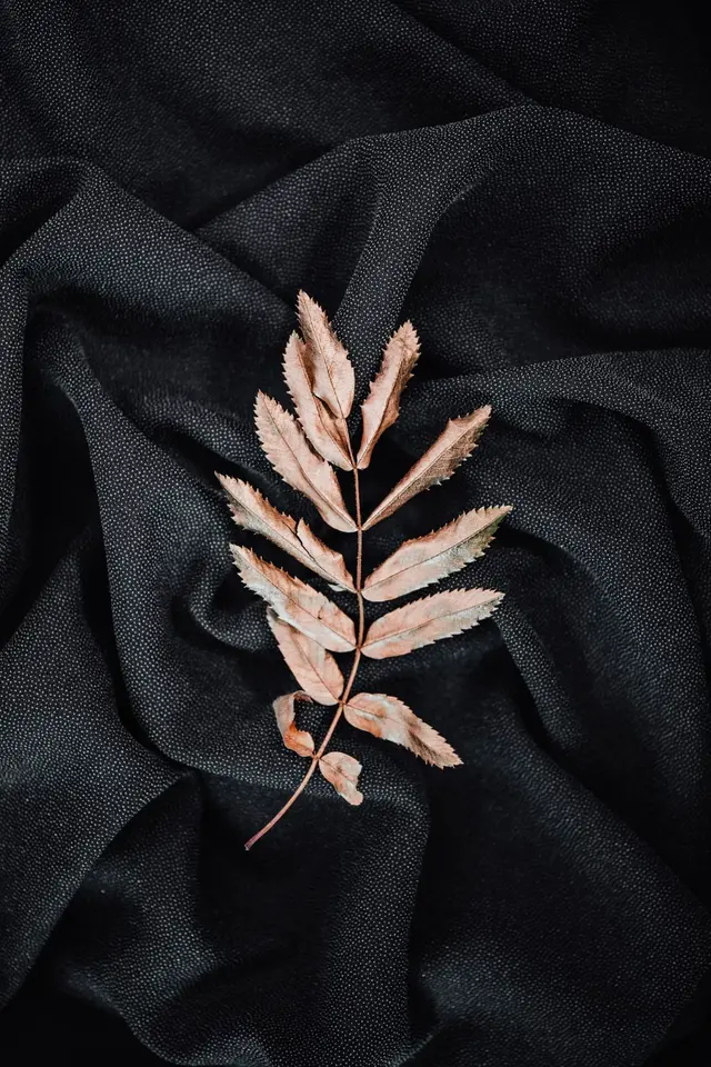 Imprimé tropical — feuilles d’or, photo 3
