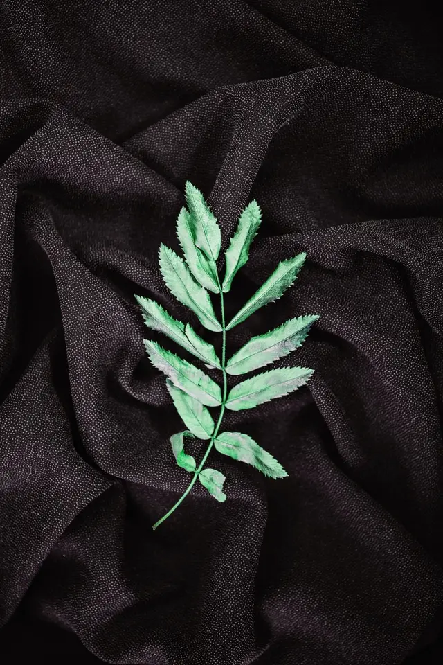 Imprimé tropical — feuilles d’or, photo 4