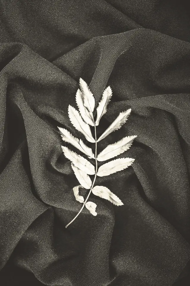 Imprimé tropical — feuilles d’or, photo 5
