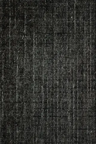 Tissu costume — noir profond